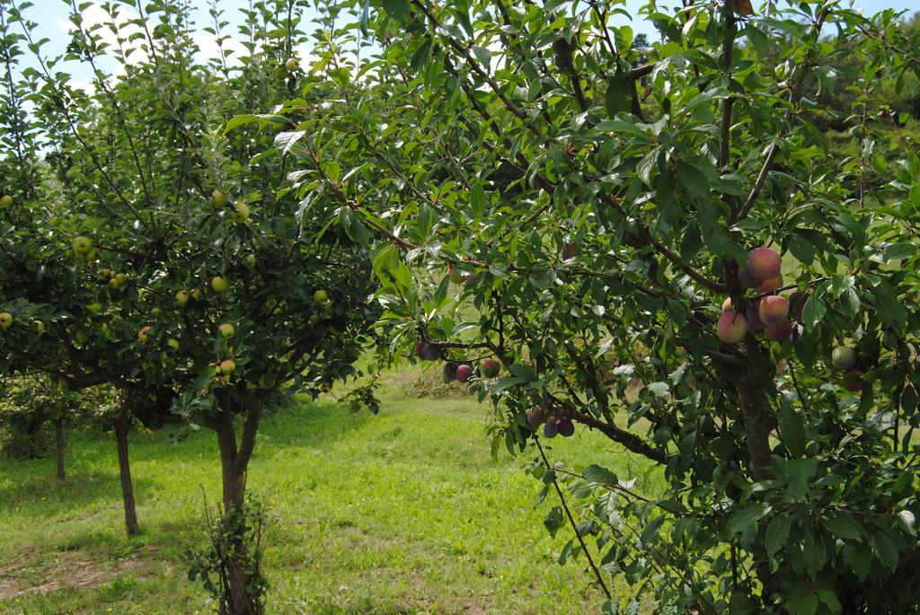 La Chiusuraccia Barberino di Mugello Exterior foto